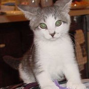 Patricia Maxheimer's photo