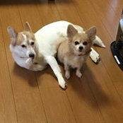 Foto de 藤本二郎
