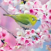 Suzan Reed's photo