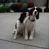 Matthew Simpson's photo
