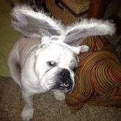 Jason Garman's photo