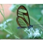 Lisa Childs's photo