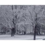Roberta Grund Ellis's photo