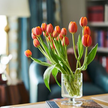 Luxury Estate Remodel: Library
