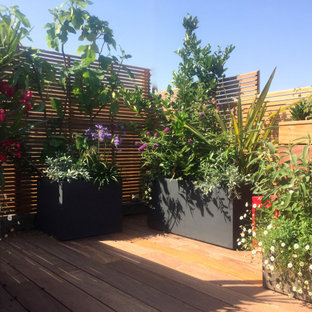 Aménagement paysager d'un rooftop à Paris...