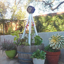 backyard project