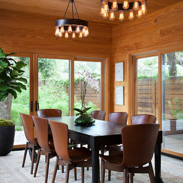 Zilker Contemporary Dining with Wood Paneling