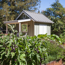 sheds