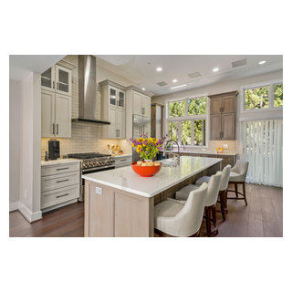 Alexandria First floor remodel - Transitional - Kitchen - DC Metro - by ...