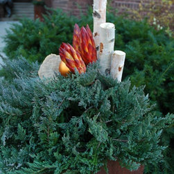 Various containers - Outdoor Pots And Planters