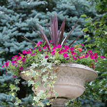 WHB Landscaping and plants