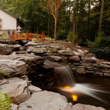 Stream & Ponds