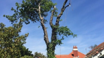 Tree Service's in Melbourne's Eastern Subrub's