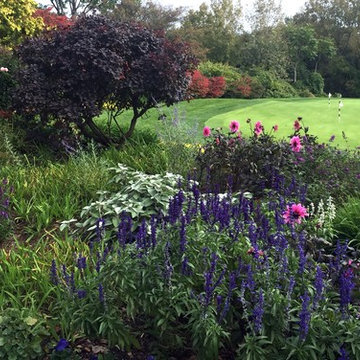 Gardens: Perennial and Mixed Borders