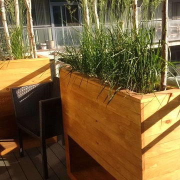 Decking with Planters and Privacy Screens