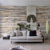Alicia Dewar's photo