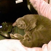 Kacey Lauer's photo