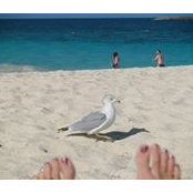 Vickie Short's photo