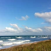 Vie Nystrom's photo