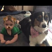 Deanna Campbell's photo