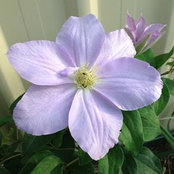 Lorraine's photo