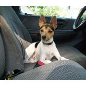 Heidi Deering's photo