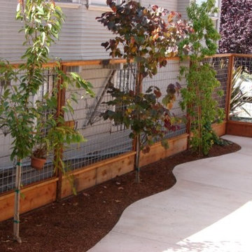 Hog Wire Fence with Screening Trees