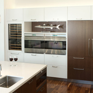 White and Wenge Kitchen