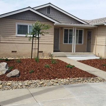 Drought Tolerant