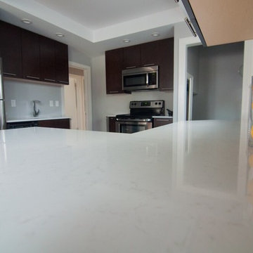 North River Heights - Kitchen Reno