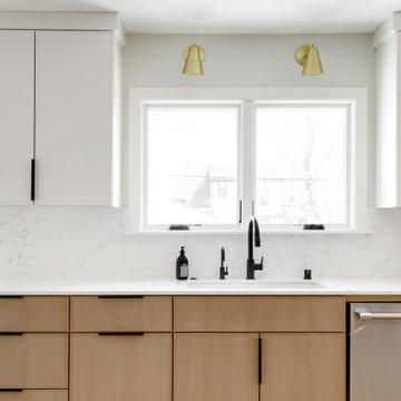 Northeast Minneapolis Project