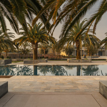 Mid-East Modern