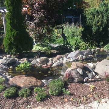Ponds and Streams