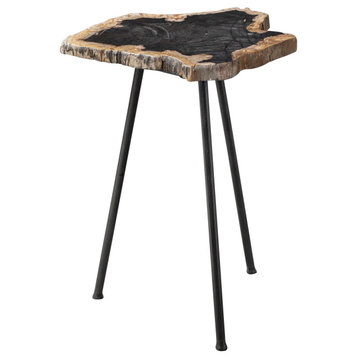Elegant Minimalist Natural Petrified Wood Accent Table Stone Slab Black Tripod