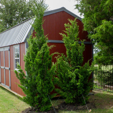 Evergreen Trees & Shrubs