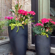 Planters