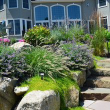 native garden ideas