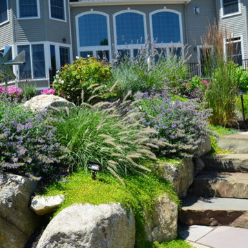 Plantings
