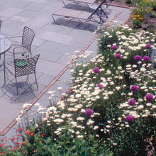 laurie