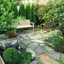 backyard ideas