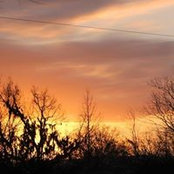 Florine B Robin's photo