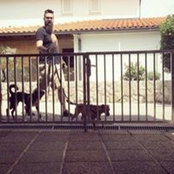 Janko Sačić's photo