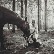Mandy Drachsdorf's photo