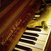 Patricia Quilichini's photo