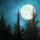 webuser_746997138