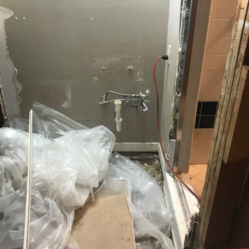 White Rock Lake Master Suite Remodel