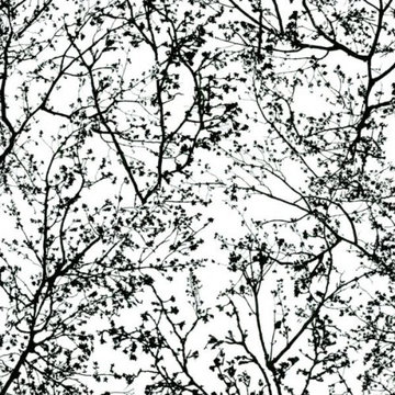 WALLPAPER GRAPHICS ALIVE