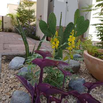 Front Yard Desert Garden and Main Entrance walkway flower beds