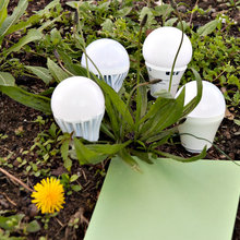 Go Green & Save Money!