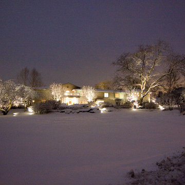 Winter Wonderland Lighting